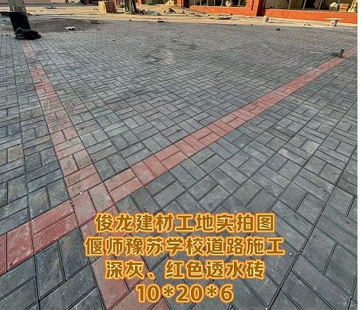 偃師豫蘇學(xué)校道路施工（深灰、紅色透水磚 10*20*6）